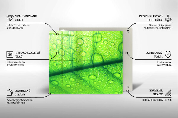 Copri piano cottura Primo piano di una foglia