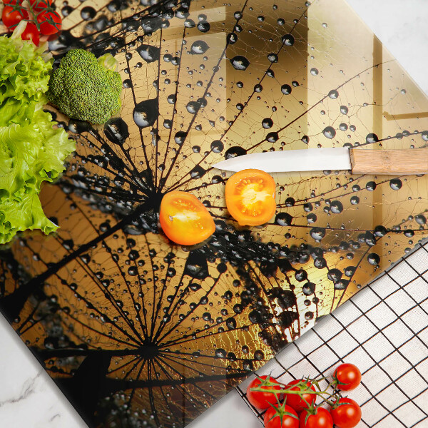 Copertura piano induzione Rugiada e denti di leone