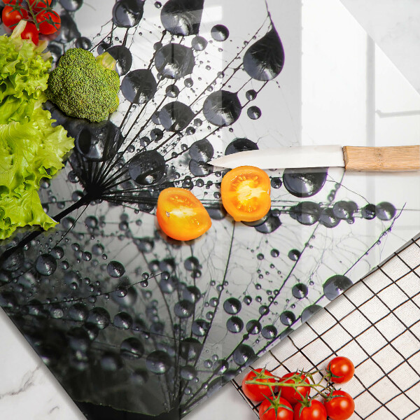 Copertura piano induzione Denti di leone e rugiada