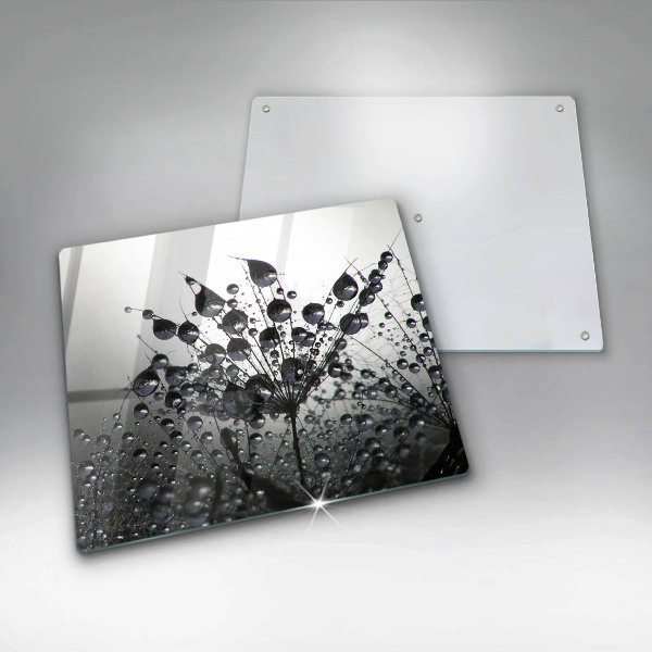 Copertura piano induzione Denti di leone e rugiada