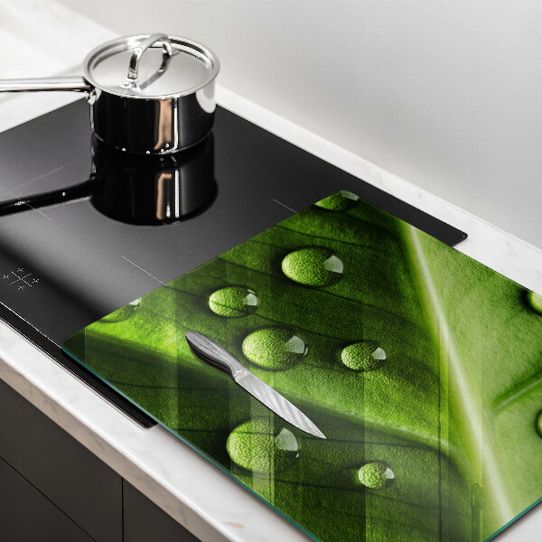 Copertura piano induzione Rugiada e foglia della natura