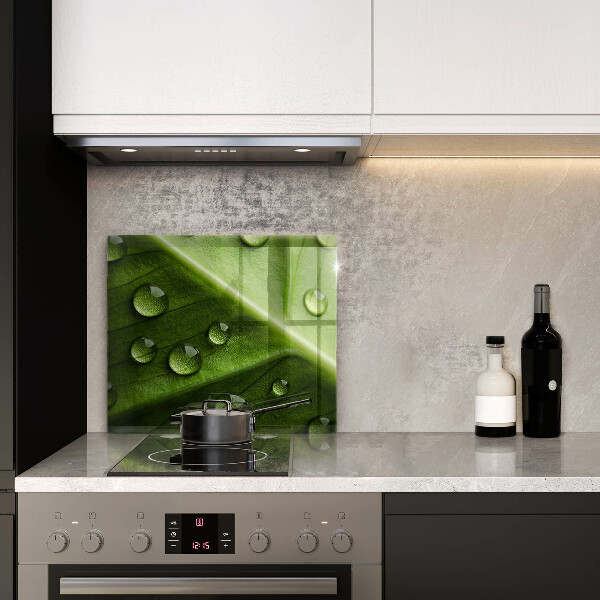 Copertura piano induzione Rugiada e foglia della natura