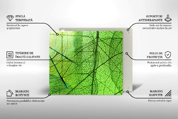 Copri piano cottura Vene delle foglie naturali