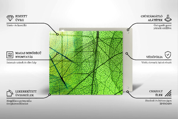 Copri piano cottura Vene delle foglie naturali