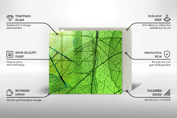 Copri piano cottura Vene delle foglie naturali