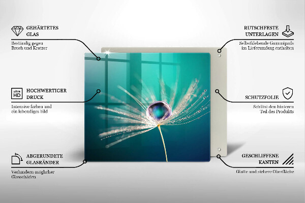 Proteggi piano induzione Rugiada su un dente di leone