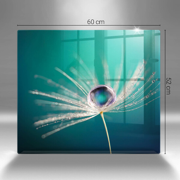 Proteggi piano induzione Rugiada su un dente di leone