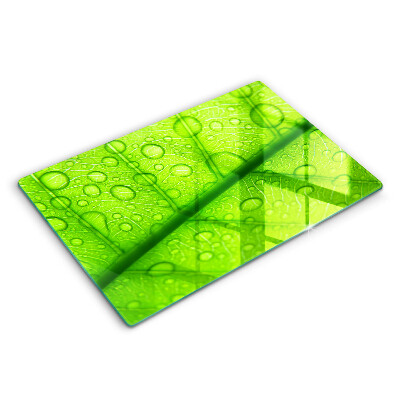 Protezione piano cottura Primo piano di una foglia