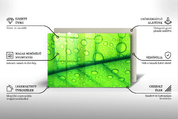 Protezione piano cottura Primo piano di una foglia
