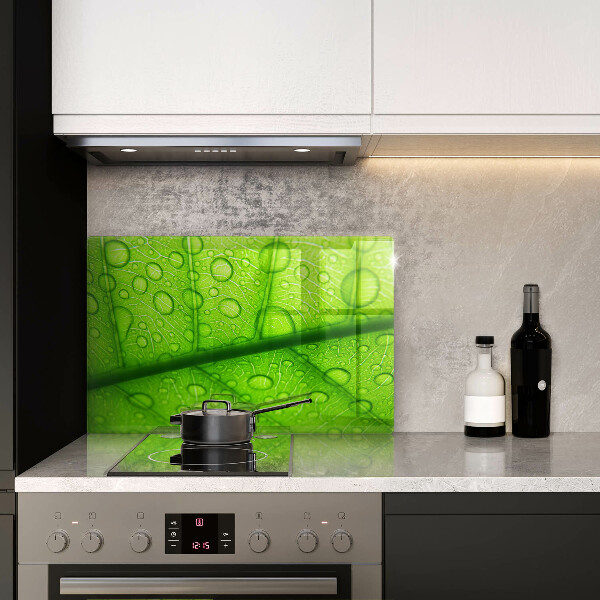 Protezione piano cottura Primo piano di una foglia