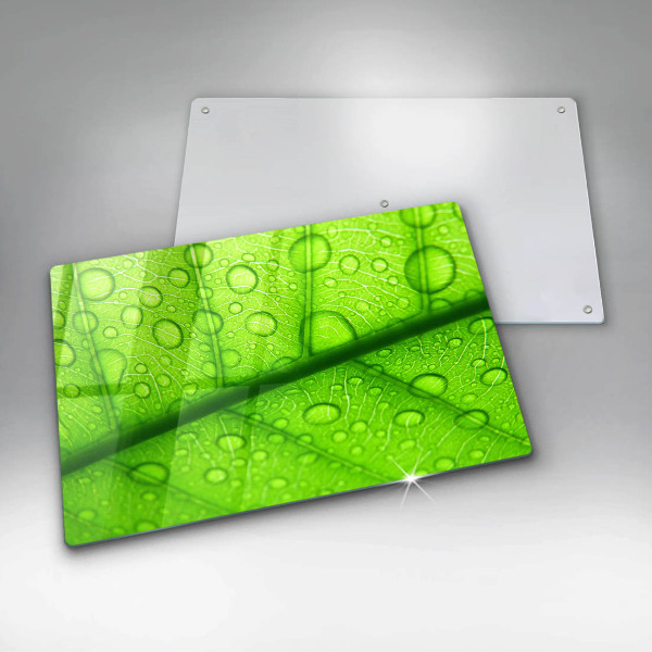 Protezione piano cottura Primo piano di una foglia