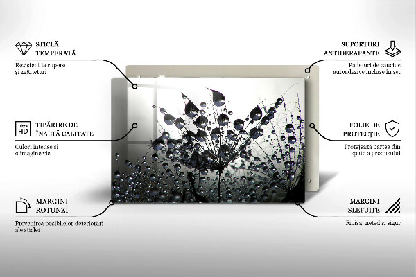 Copri piano cottura Denti di leone e rugiada