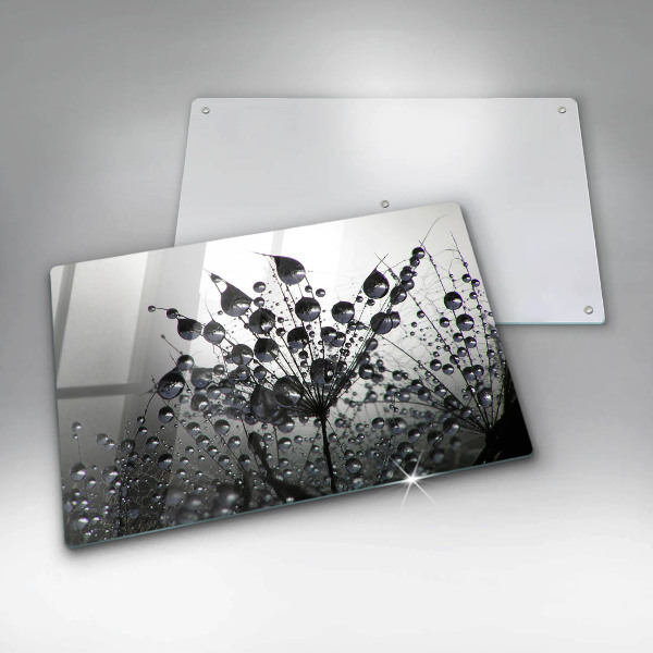 Copri piano cottura Denti di leone e rugiada