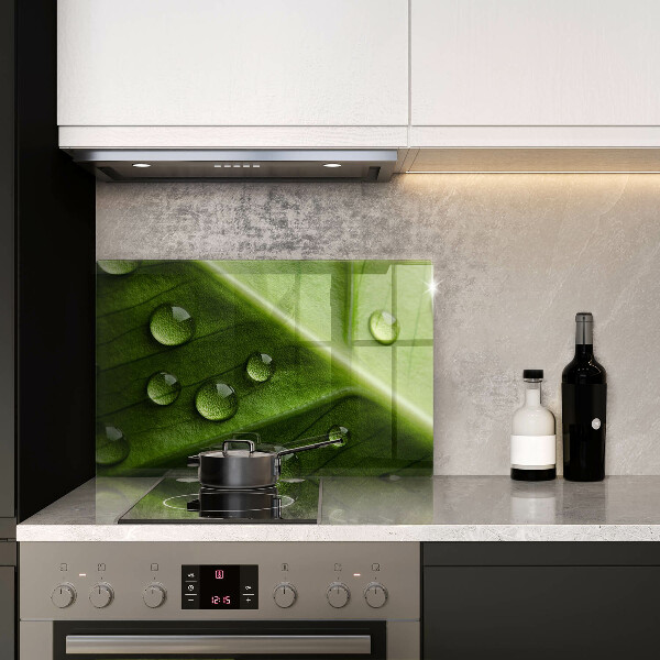 Copri piano cottura Rugiada e foglia della natura