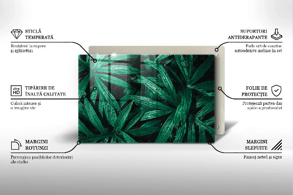 Copri piano cottura Foglie di piante