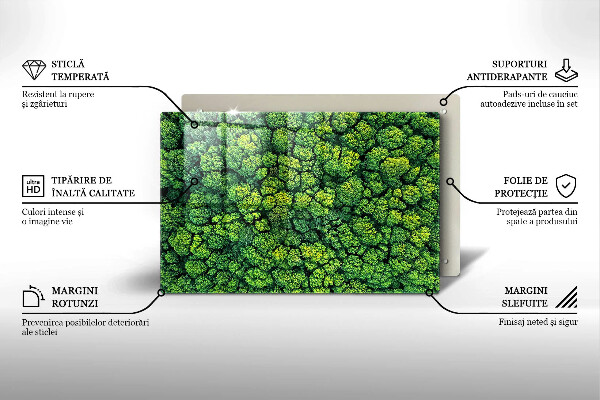 Protezione piano cottura Pianta di muschio naturale