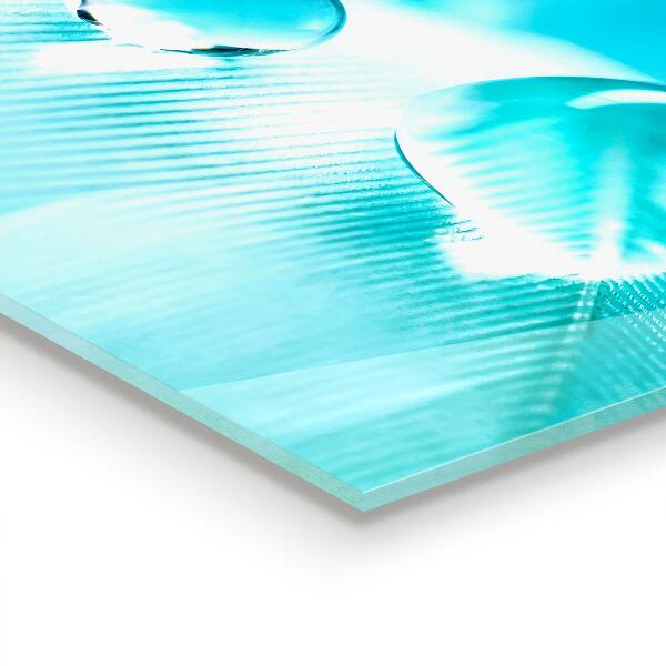 Pannello retrocucina Rugiada sulla piuma delicata