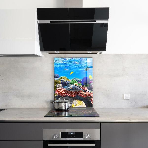 Pannello paraschizzi cucina Mar rosso della barriera corallina