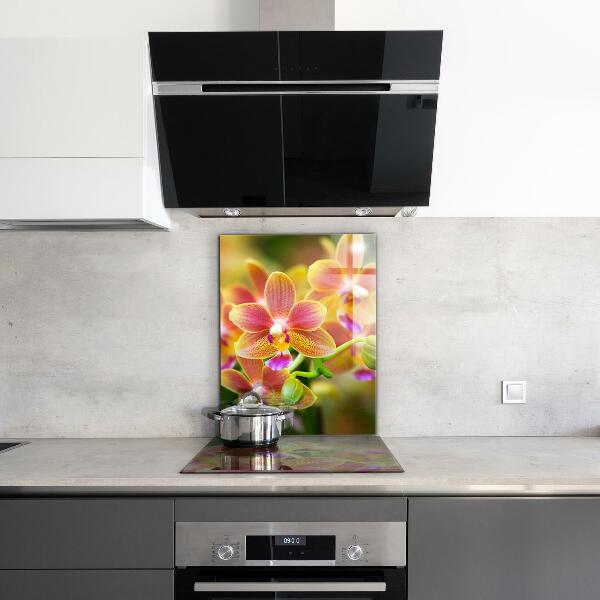 Rivestimento parete cucina Orchidea arancione