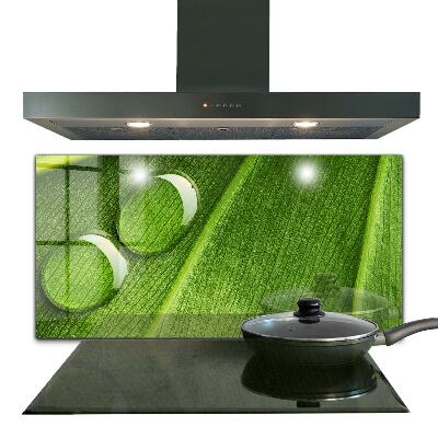 Rivestimento parete cucina Goccia di rugiada su una foglia