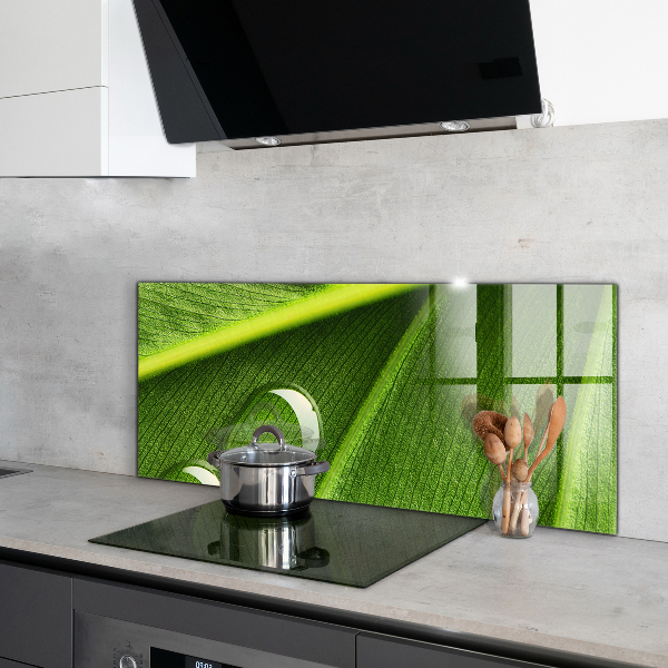 Rivestimento parete cucina Goccia di rugiada su una foglia