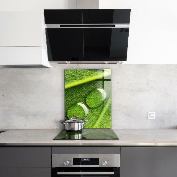 Rivestimento parete cucina Goccia di rugiada su una foglia