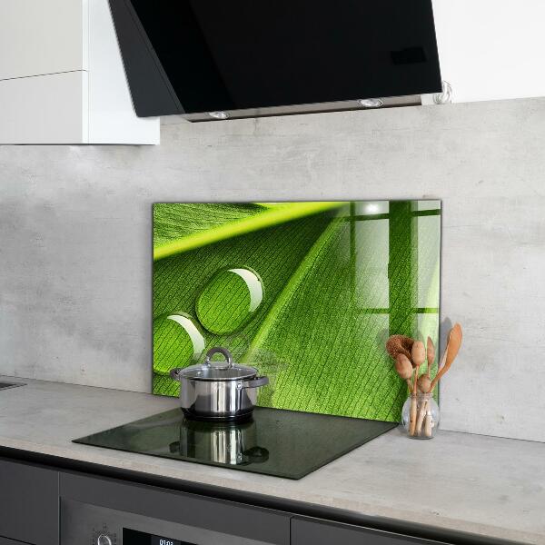 Rivestimento parete cucina Goccia di rugiada su una foglia