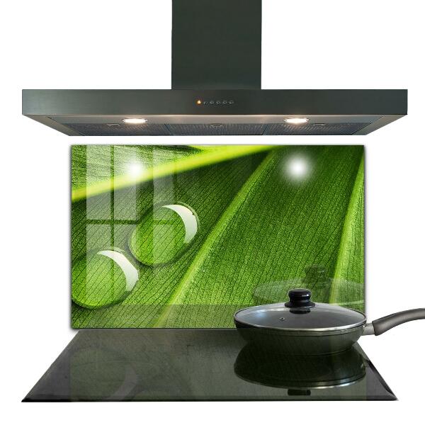 Rivestimento parete cucina Goccia di rugiada su una foglia