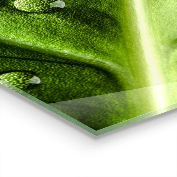 Rivestimento parete cucina Foglia con gocce di rugiada mattutina