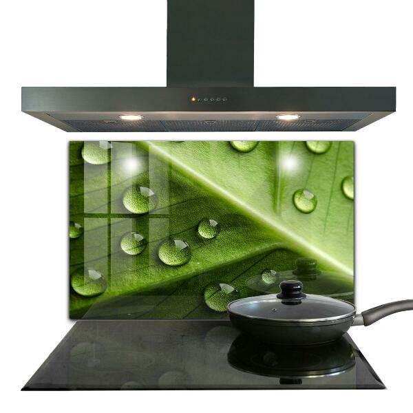 Rivestimento parete cucina Foglia con gocce di rugiada mattutina