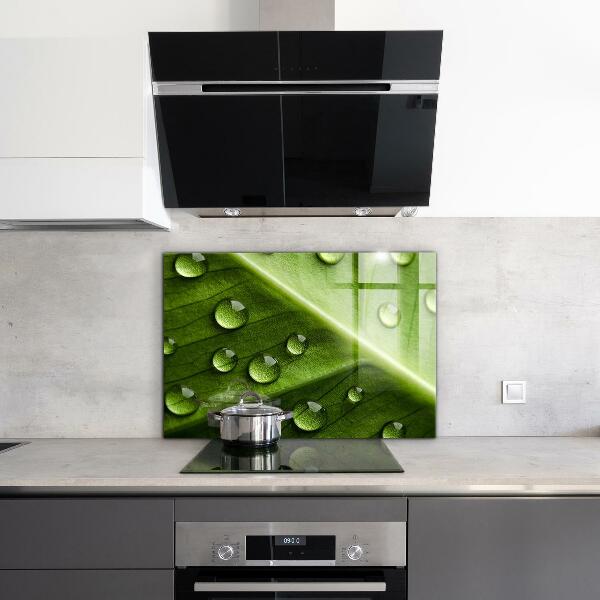 Rivestimento parete cucina Foglia con gocce di rugiada mattutina