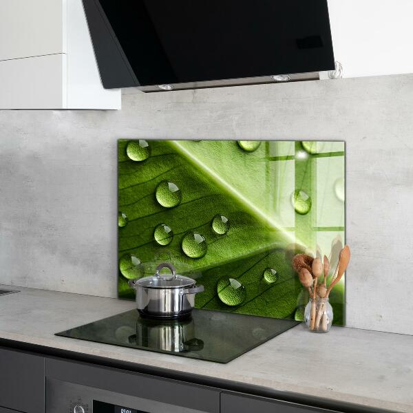 Rivestimento parete cucina Foglia con gocce di rugiada mattutina