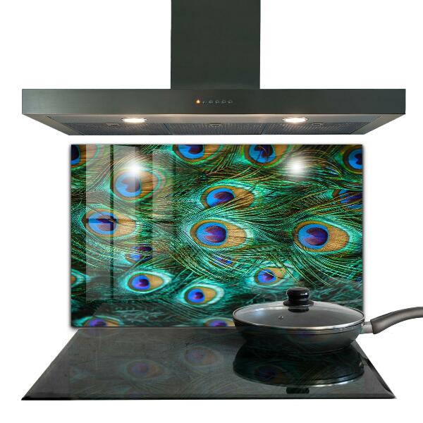 Pannello schienali cucina Piume di pavone bella natura