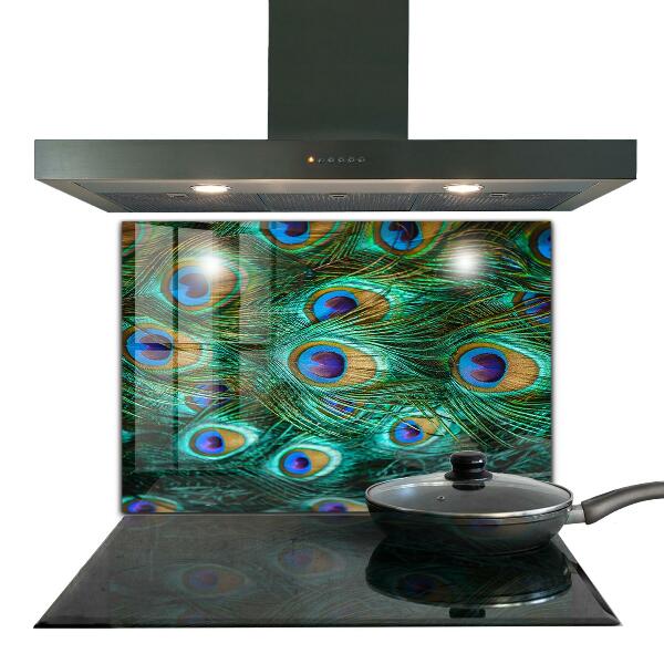 Pannello schienali cucina Piume di pavone bella natura