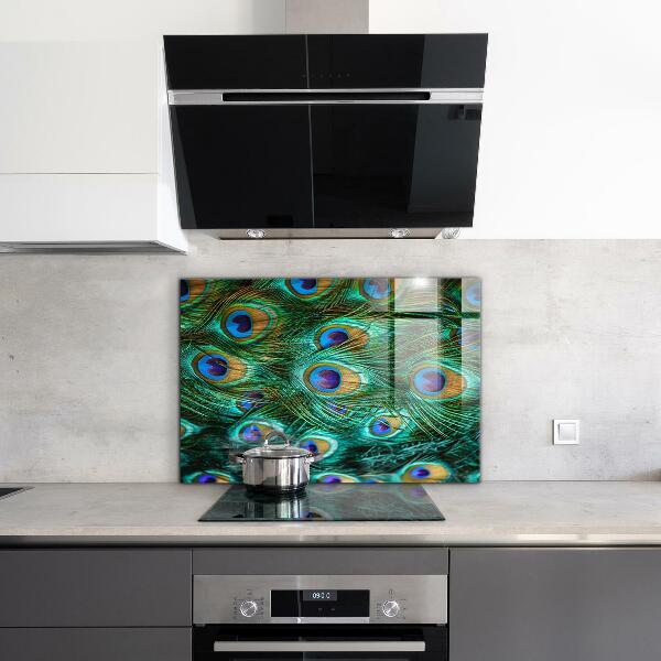 Pannello schienali cucina Piume di pavone bella natura