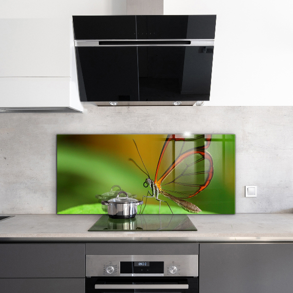 Pannello paraschizzi cucina Farfalla su una foglia