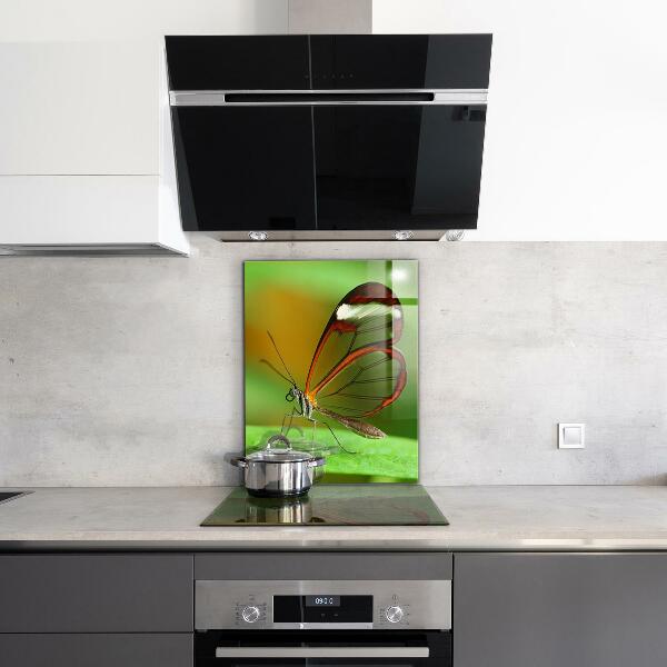 Pannello paraschizzi cucina Farfalla su una foglia
