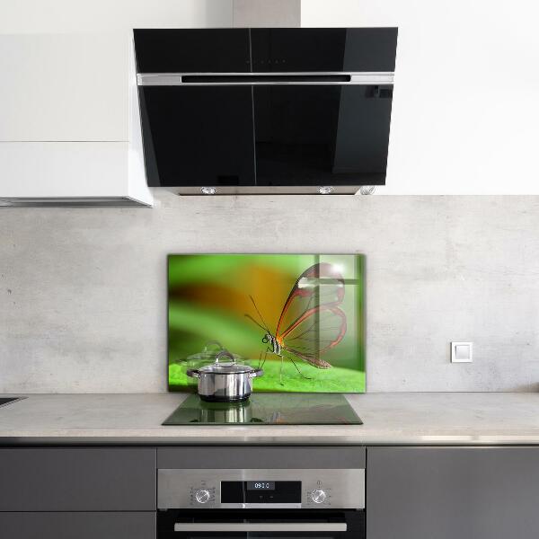Pannello paraschizzi cucina Farfalla su una foglia