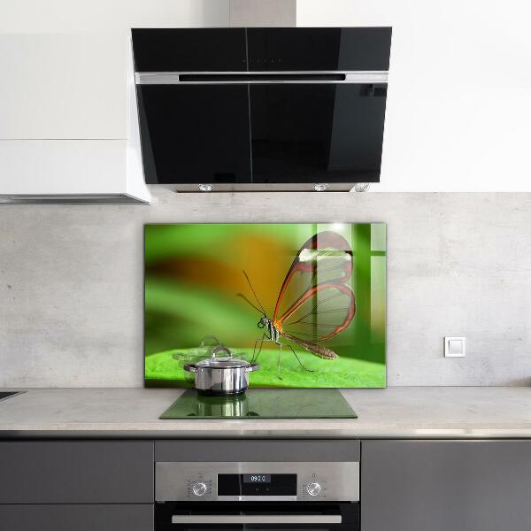 Pannello paraschizzi cucina Farfalla su una foglia