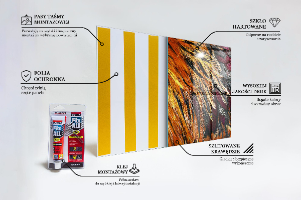 Pannello schienali cucina Piume di uccelli colorati