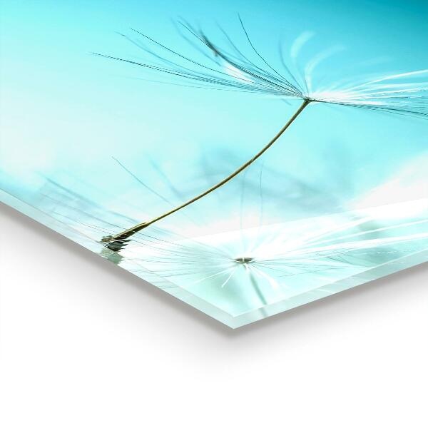 Rivestimento parete cucina Dente di leone dente di leone nel vento