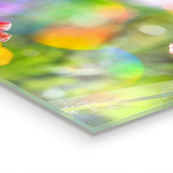 Rivestimento parete cucina Prato estivo di papaveri