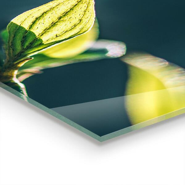 Rivestimento parete cucina Foglia lucida sul ramo