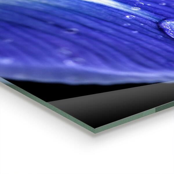 Rivestimento parete cucina Fiore di iris viola