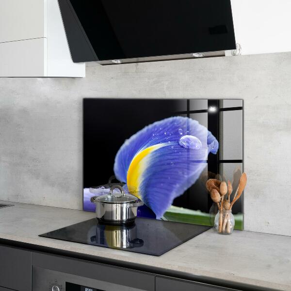 Rivestimento parete cucina Fiore di iris viola