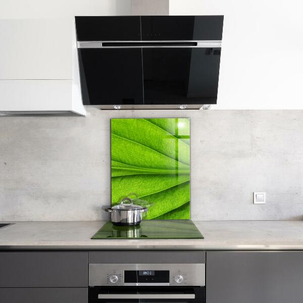 Rivestimento parete cucina Dettagli foglia verde