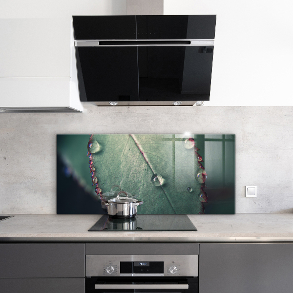 Rivestimento parete cucina Foglia con una goccia di rugiada