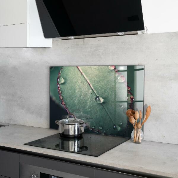 Rivestimento parete cucina Foglia con una goccia di rugiada
