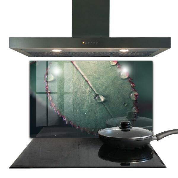 Rivestimento parete cucina Foglia con una goccia di rugiada