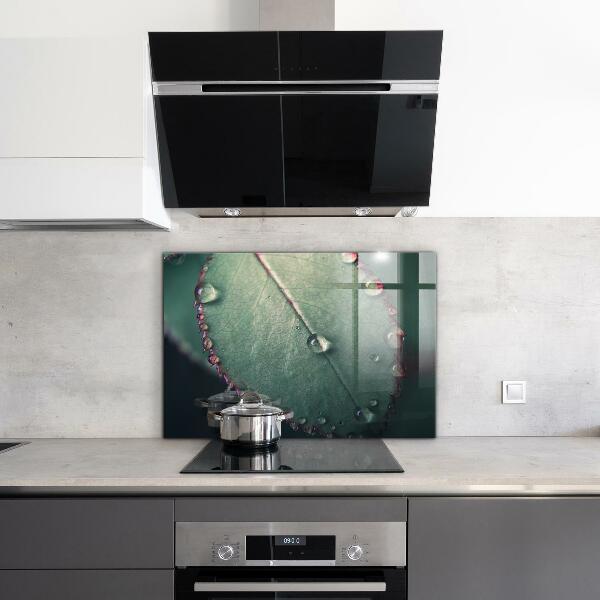 Rivestimento parete cucina Foglia con una goccia di rugiada